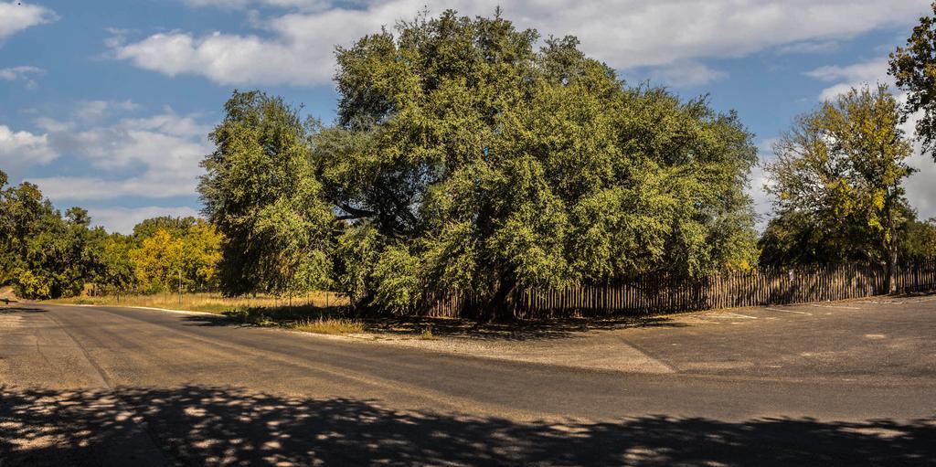 Cypress Fairway Village Wimberley Extérieur photo